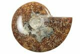 4.05" Polished Ammonite Fossil - Madagascar - #199200-1